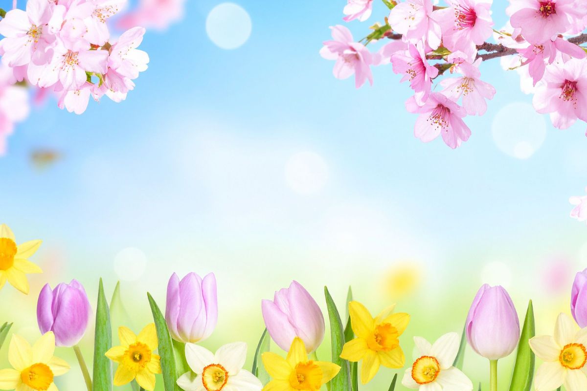 Primavera inglese